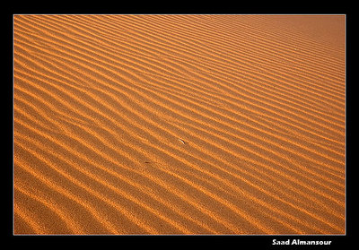 waves of desert