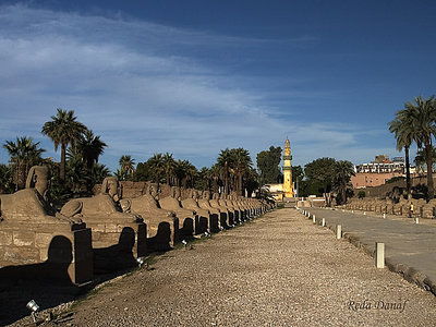 Luxor temple 1