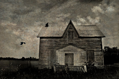 as the crow flies
