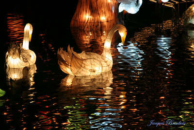 chinese lanterns 2