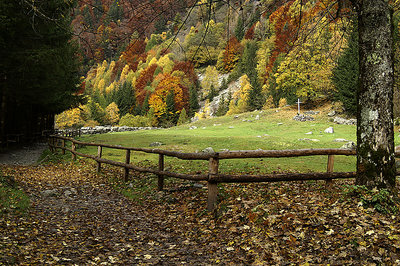 autunno in Val Masino