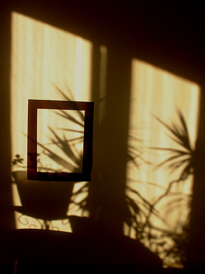 Frame, Pot, Plant, Shadow, Light