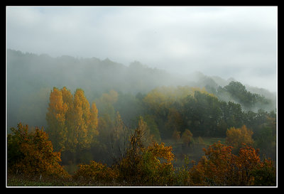 Misty autumn