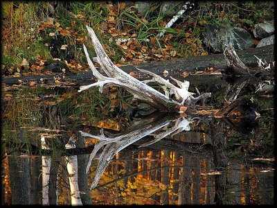 Mirror Lake