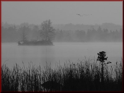 Misty Morning