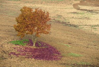 Autumn in Tuscany