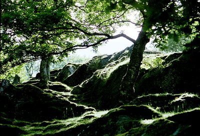 Snowdonia.