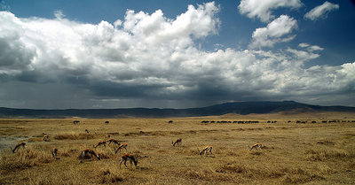 Ngorongoro panorama 1