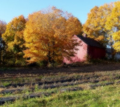 Autumn Farm