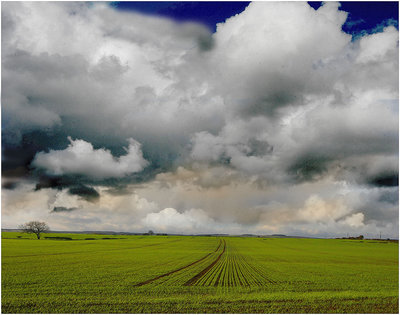 northumbrain skys