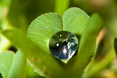 Green Fingers