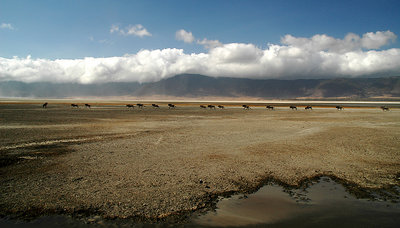 Ngorongoro panorama 2