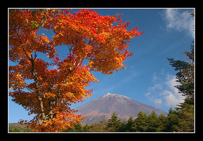 Autumn Colors