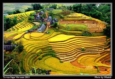 Tavan mountain village, Sapa Viet nam