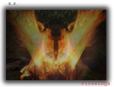 Firewings