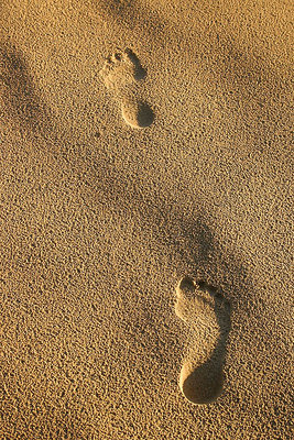 Footprints.