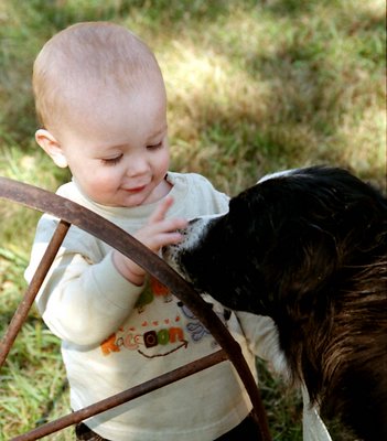 Mans Best Friend