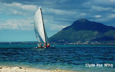 Sailing on Blue Ocean! 