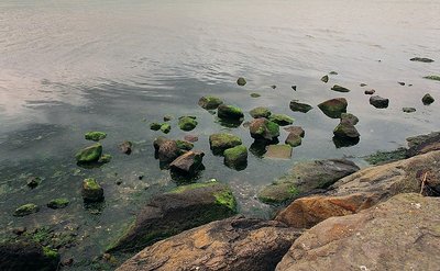 Gray Sky & Green Rocks