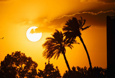 at sunset time 