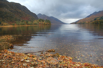 Autumn Colours,Loch Shiel