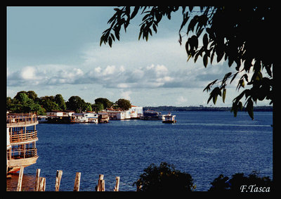 amazonas