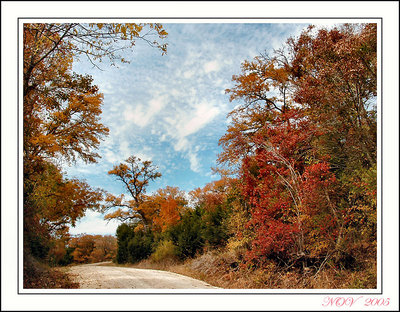Texas Fall