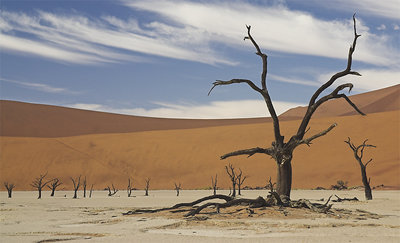 Dead Vlei