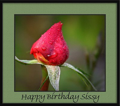 Happy Birthday Sissy!