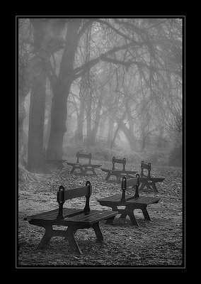Misty benches