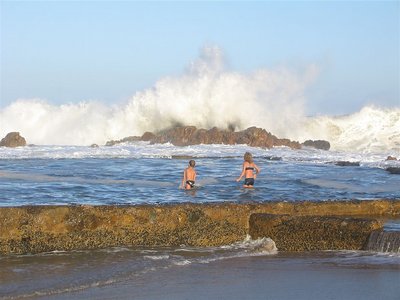 Tidal Pool Fun