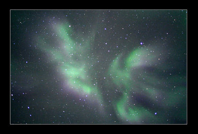 The Butterfly Aurora