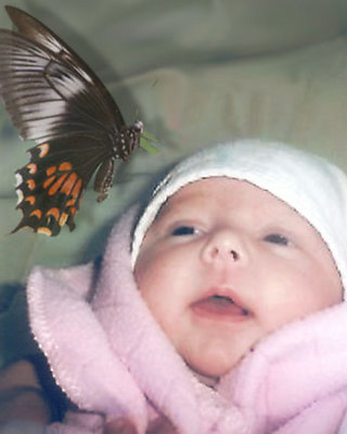 Kayleigh and the Butterfly