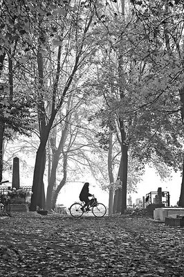 In the Cemetery