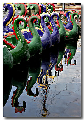 Dragon Boat Reflections