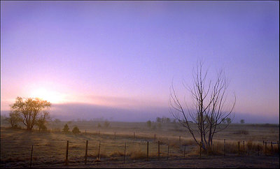 Morning Light