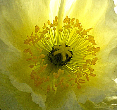 Another Macro