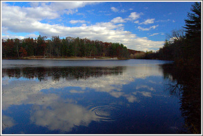 Ring in the Reflection