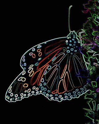 neon monarch