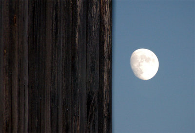 Barn Wood Moon