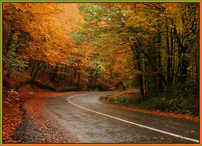 Autumn and way