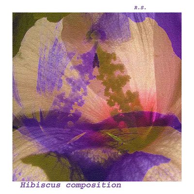 Hibiscus composition