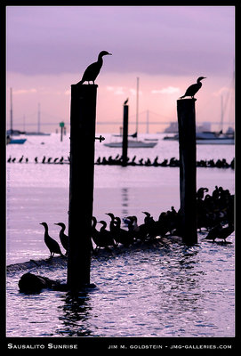 Sausalito Sunrise