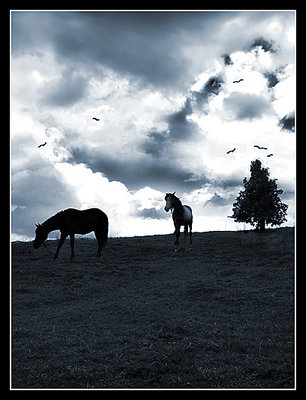 Landscape with horses, birds and a tree