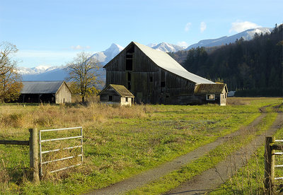 Old Homestead