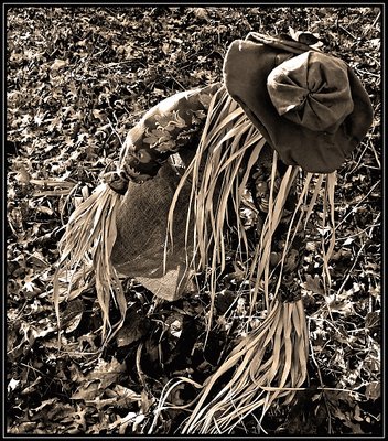 The Lowly Scarecrow