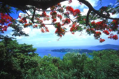 Gorgeous St. Thomas