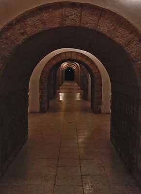 hallway of the dead