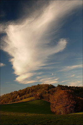 Autumn afternoon