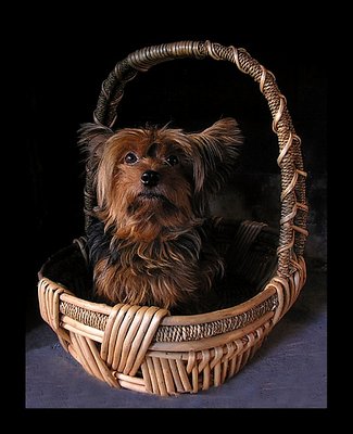 Basket  full  of  love